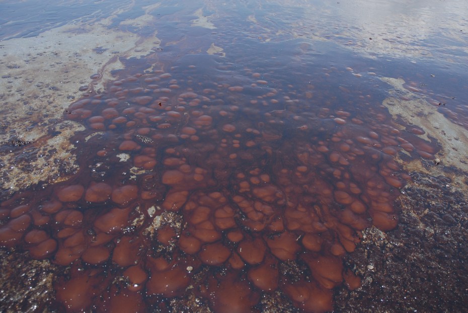 4680016385_a1dcf7f101_o