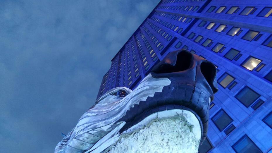 11896517_10153314832978300_6452493844996656743_o