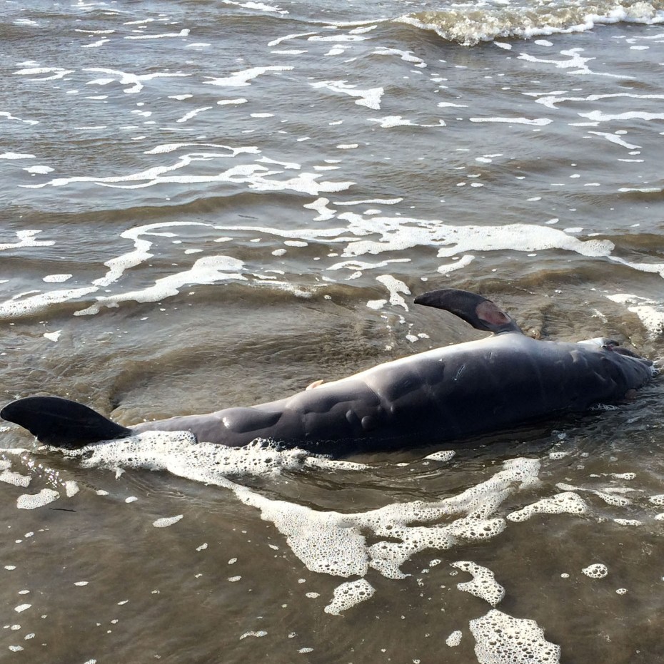 untitled-article-1432221879